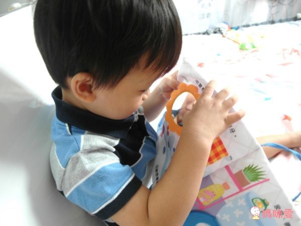 【賴馬給0-3歲寶寶的遊戲書】-洗澡書+布書+兒歌本+CD，共3書1CD