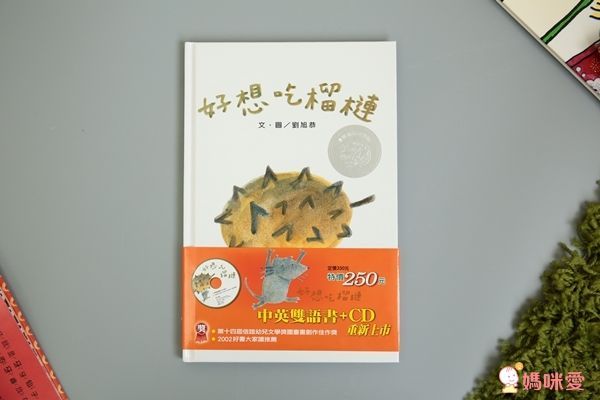 《誰的襪子》超有趣的找找書！訓練孩子專注力＆觀察力