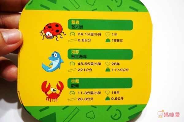 寓教於樂必備！【上誼】家庭桌遊日