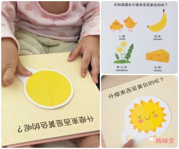 動手轉轉轉-形狀