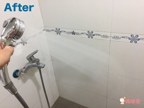 【日本 TAKAGI 蓮蓬頭】