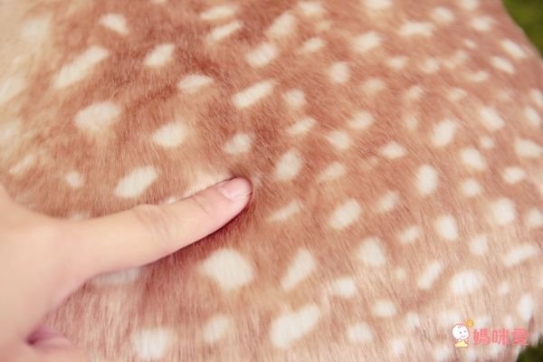 【日本 PUTIA 實木造型兒童椅】