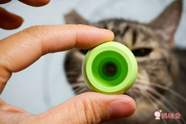 日本AOZORA Baby Color 兒童安全無毒蠟筆