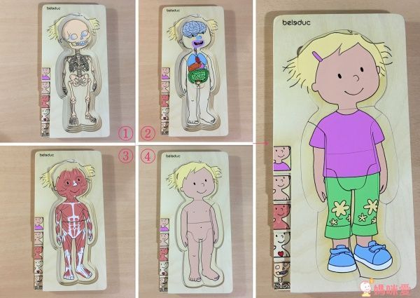 【德國 Beleduc】 益智桌遊 ✖ 拼圖