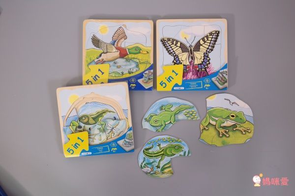 【德國 Beleduc】 益智桌遊 ✖ 拼圖