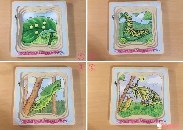 【德國 Beleduc】 益智桌遊 ✖ 拼圖