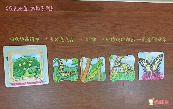 【德國 Beleduc】 益智桌遊 ✖ 拼圖