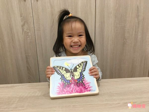 【德國 Beleduc】 益智桌遊 ✖ 拼圖