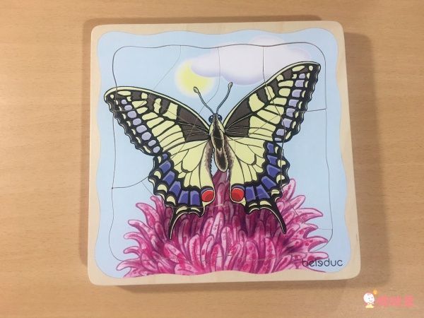 【德國 Beleduc】 益智桌遊 ✖ 拼圖