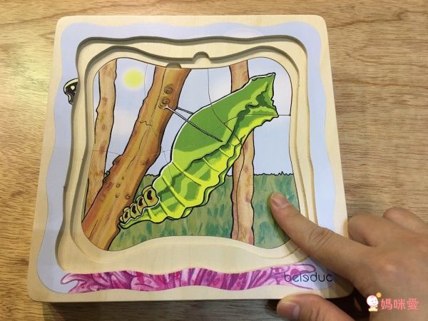 【德國 Beleduc】 益智桌遊 ✖ 拼圖