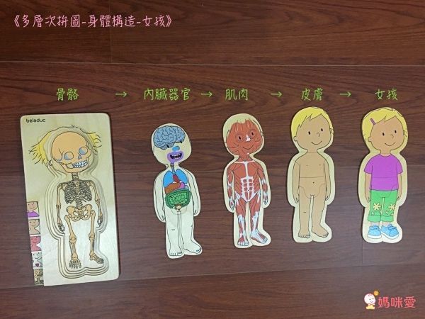 【德國 Beleduc】 益智桌遊 ✖ 拼圖