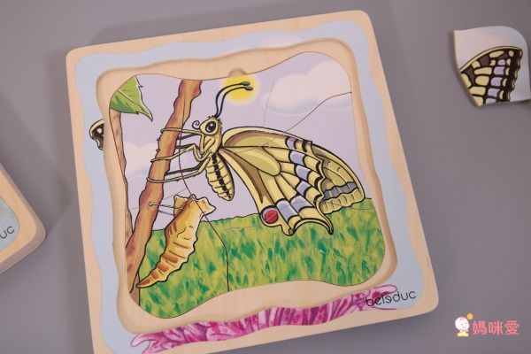 【德國 Beleduc】 益智桌遊 ✖ 拼圖