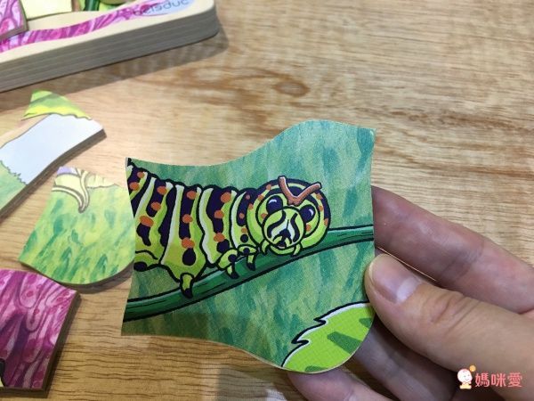 【德國 Beleduc】 益智桌遊 ✖ 拼圖