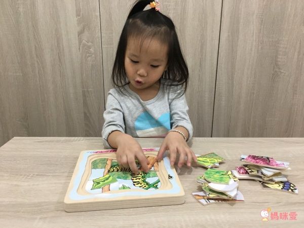 【德國 Beleduc】 益智桌遊 ✖ 拼圖