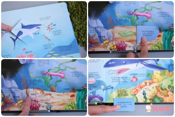 幼福★探秘魔幻3D世界【VR+AR互動魔法書】