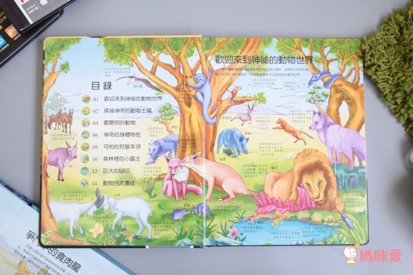 幼福★探秘魔幻3D世界【VR+AR互動魔法書】