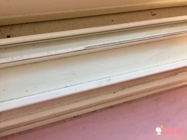 【日本 IRIS OHYAMA 氣旋直立式無線吸塵器IC-SLDC1】