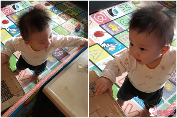 韓國 ifam 新款G型圍欄
