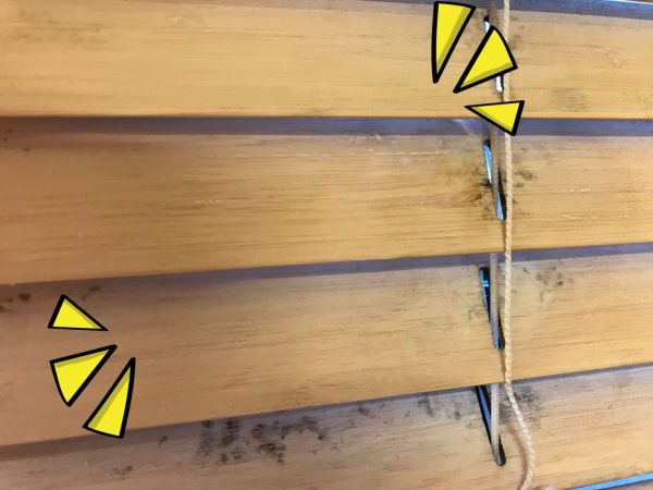 【Born in NewZealand 除霉/除蟎清潔劑】