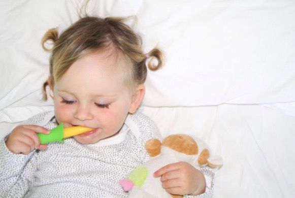  紐西蘭品牌 haakaa 副食品系列商品 