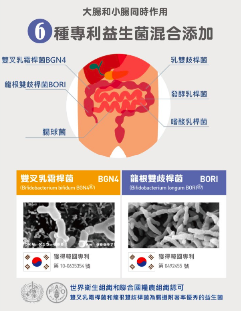 【韓國BEBECOOK】嬰幼兒輔食系列 / 益生菌