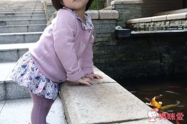 【Marguerite 小雛菊】✿ 高質感童裝 / 親子裝