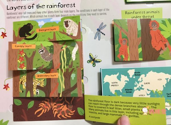 CP值爆棚★世界七大洲紙板翻翻書 A Lift the Flaps Books▶知識度200%！大人也折服！