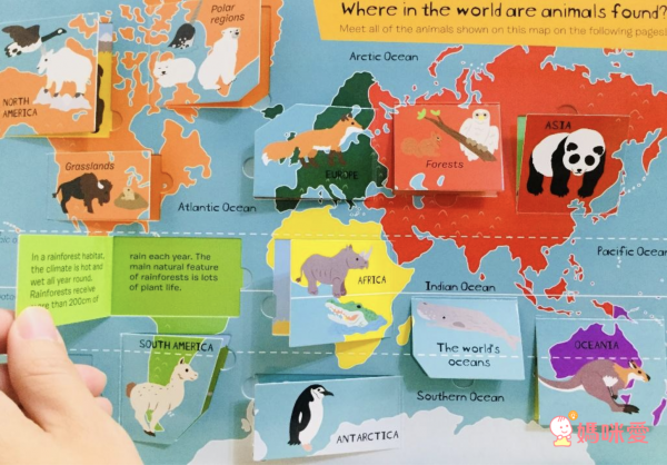 CP值爆棚★世界七大洲紙板翻翻書 A Lift the Flaps Books▶知識度200%！大人也折服！