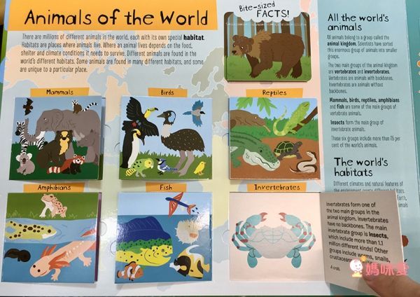 CP值爆棚★世界七大洲紙板翻翻書 A Lift the Flaps Books▶知識度200%！大人也折服！