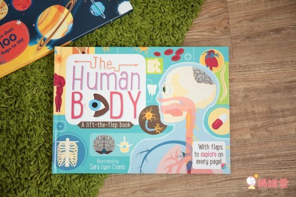 CP值爆棚★世界七大洲紙板翻翻書 A Lift the Flaps Books▶知識度200%！大人也折服！