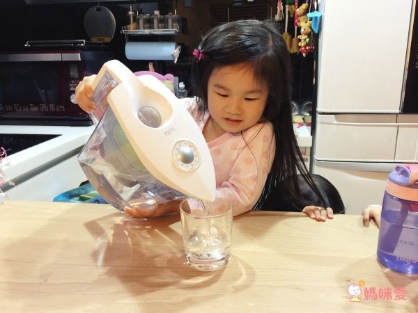 義大利 LAICA 萊卡 - GremStop 除菌生飲濾水壺-一年期除菌濾芯-1入/組