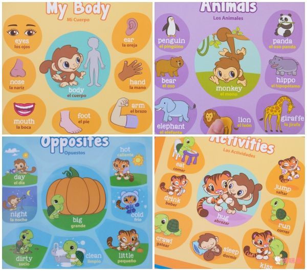 LeapFrog美國跳跳蛙 - 100單字互動認知圖鑑(粉)