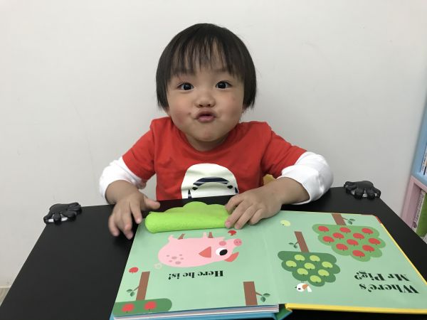 不織布翻翻書-Where's Mrs Bear?