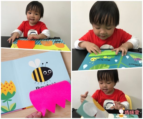 不織布翻翻書-Where's Mrs Bear?