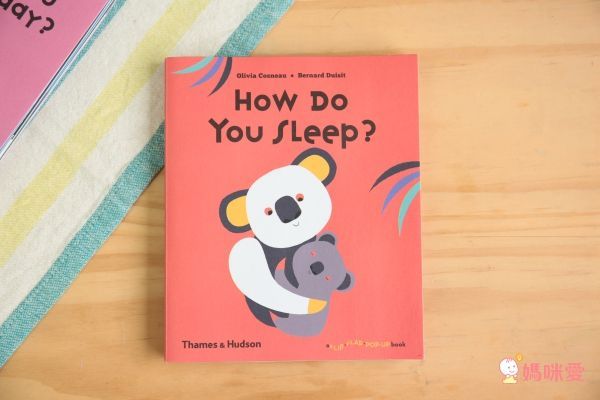 【Pop-Up立體童話】看故事學英文單字、顏色、數字、相反詞