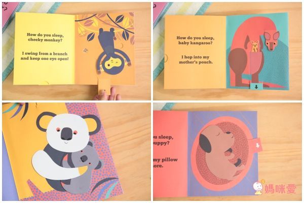 【Pop-Up立體童話】看故事學英文單字、顏色、數字、相反詞