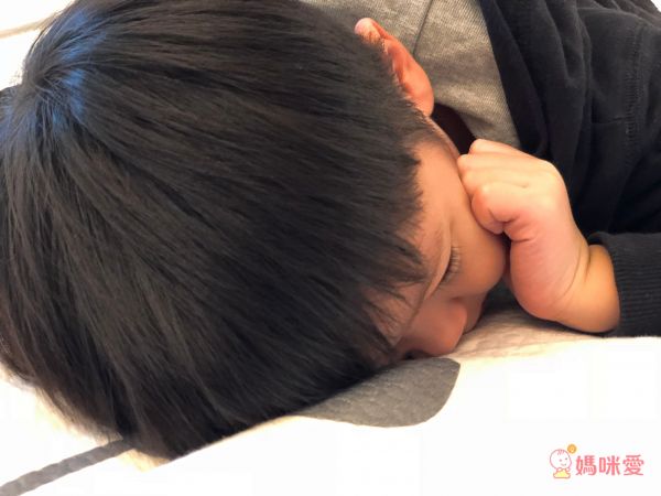 韓國 Lieto Baby 有機棉防水墊