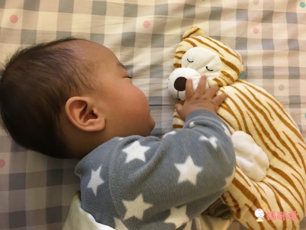 babymio動物造型睡枕