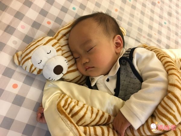 babymio動物造型睡枕
