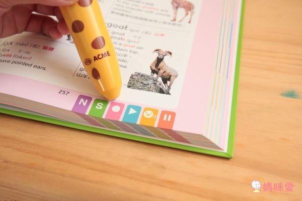 世一文化主題式圖解彩色兒童英漢點讀字典