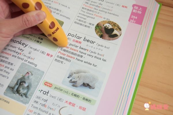 世一文化主題式圖解彩色兒童英漢點讀字典