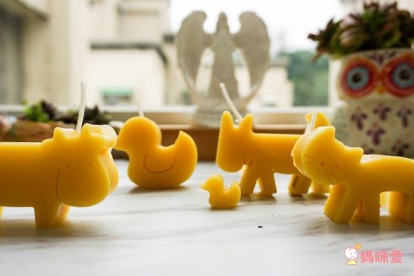 韓國的eeeek 無毒矽膠模具