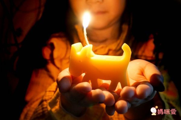 韓國的eeeek 無毒矽膠模具