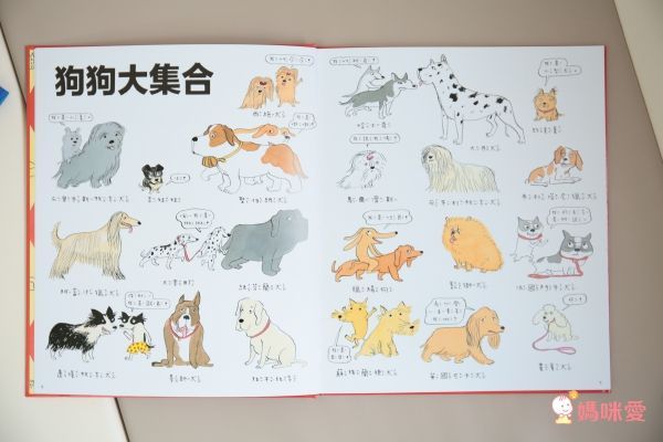【上誼文化】1~6歲語文書單77折起↘✧認識單字✧邏輯順序✧狀聲擬態