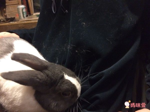 【日本Seal 除塵滾輪】不需耗材！灰塵毛屑簡單搞定 ❤︎