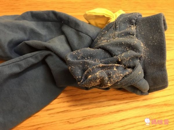 【日本Seal 除塵滾輪】不需耗材！灰塵毛屑簡單搞定 ❤︎