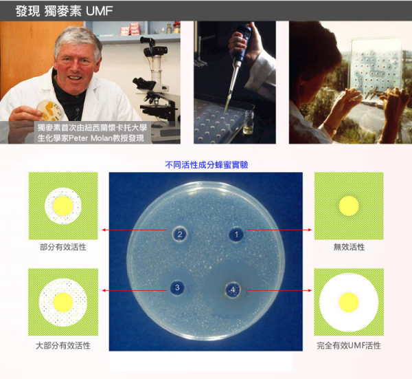 年終優惠5折起！【紐西蘭COMVITA 康維他】蜂膠噴霧 麥盧卡蜂蜜