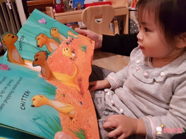 英國驚奇立體書 The Amazing Pop-up fun