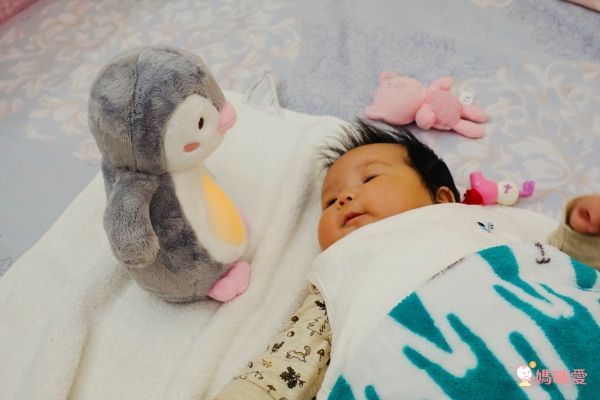 小牛津 - 安撫企鵝寶貝-絨毛企鵝+充電線+使用說明(充電式免裝電池)-粉色