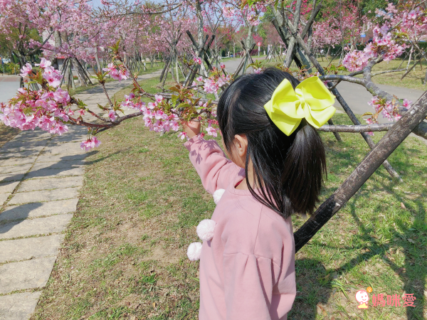 小星星 les petites étoiles 手工蝴蝶結髮飾